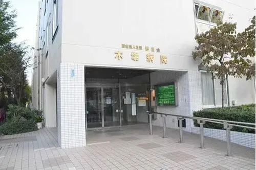 3LDK Property Koto-ku Tokyo (44)