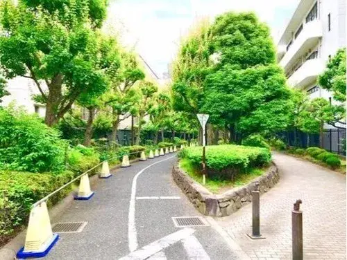 3LDK Property Koto-ku Tokyo (45)