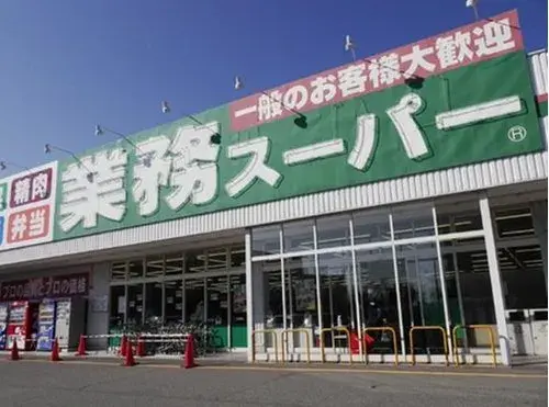 3LDK Higashimurayama-shi Tokyo (13)