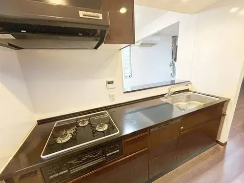 4LDK Property Suginami-ku Tokyo (9)