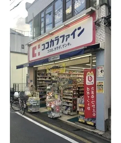 4LDK+3S Property Setagaya Ward Tokyo (15)