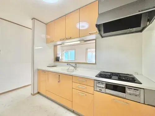 4LDK Property Higashimurayama City Tokyo (10)