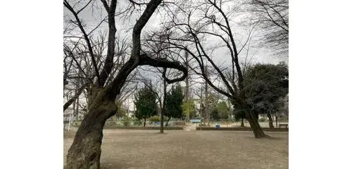 2LDK+S Property Nerima Ward Tokyo (29)