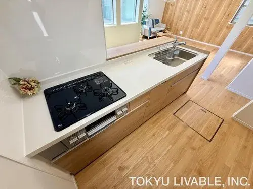 2LDK+S Property Itabashi-ku Tokyo (9)