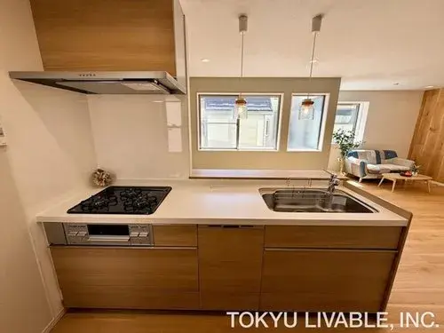 2LDK+S Property Itabashi-ku Tokyo (10)