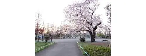 Propiedad 4LDK Setagaya-ku Tokio (27)
