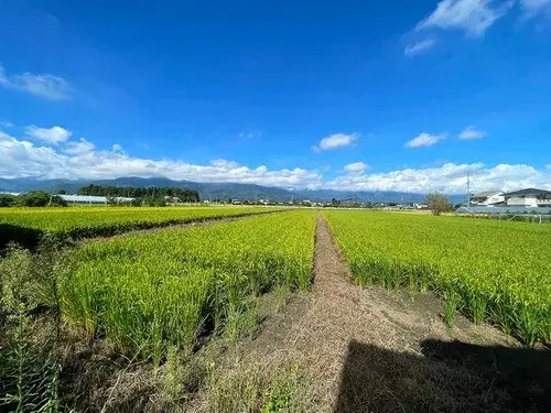 6LDK Property Matsumoto City Nagano Prefecture (23)