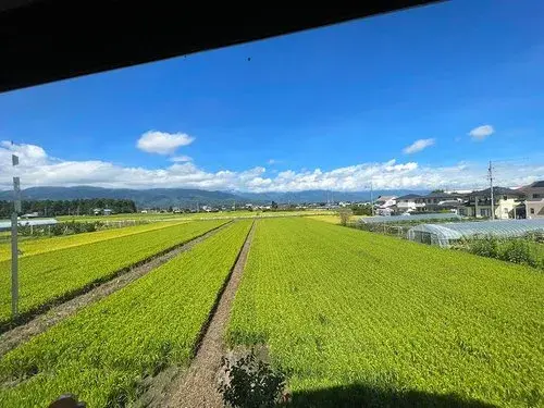 6LDK Property Matsumoto City Nagano Prefecture (24)