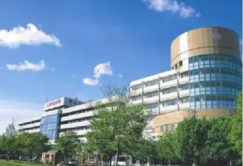 4DK Property Taisho-ku, Osaka City, Osaka Prefecture (13)