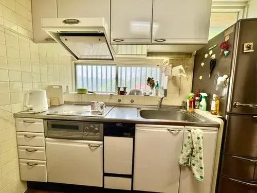 6DK مدينة تاكارازوكا محافظة هيوغو (13)