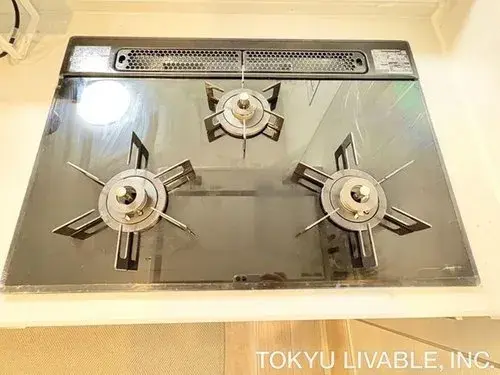 4LDK+S
Ciudad de Nishinomiya
Prefectura de Hyogo (13)