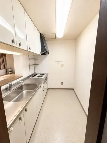 4LDK Property Sapporo City Hokkaido (21)