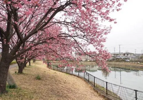 4LDK 比企郡滑川町 埼玉県 (29)