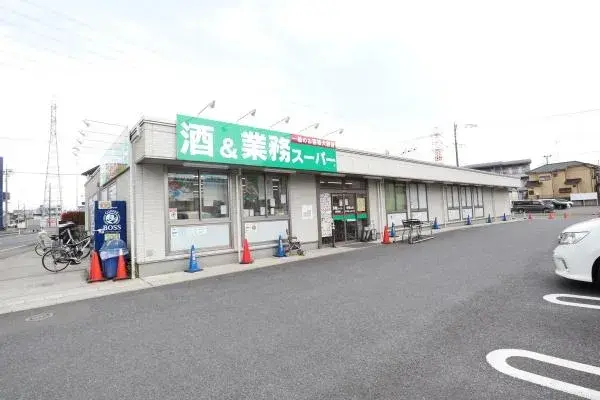 3SLDK Sayama City Saitama Prefecture (23)