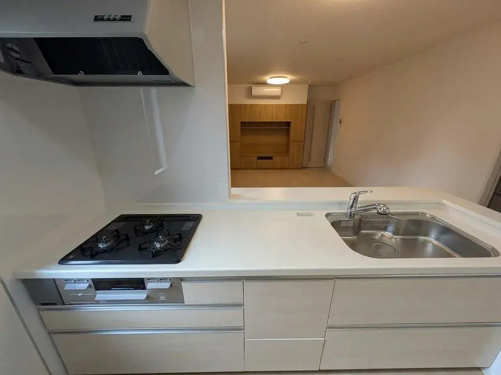 4LDK Ciudad de Saitama, Distrito de Minuma, Prefectura de Saitama (9)