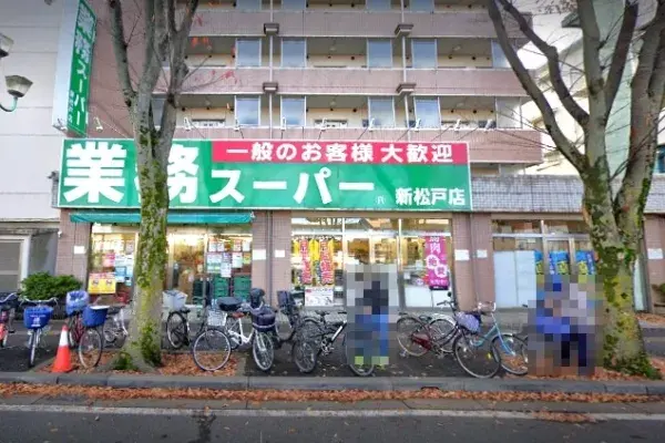 3SLDK Property, Matsudo City, Chiba Prefecture (21)