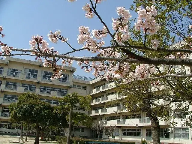 4LDK Property Matsudo City Chiba Prefecture (12)