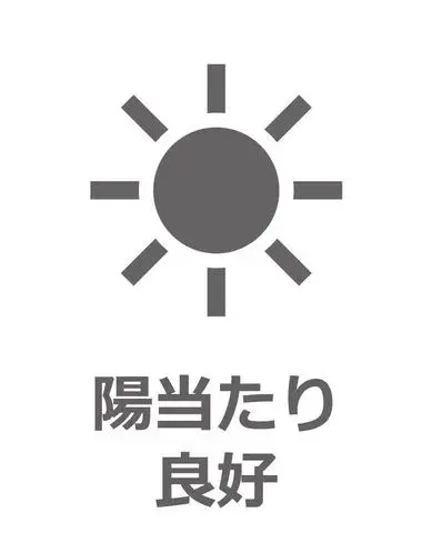4LDK Property Matsudo City Chiba Prefecture (3)