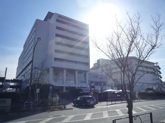 5LDK Property Ota-ku Tokyo (9)