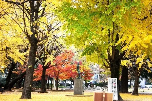 [3SLDK物件] 板橋区 東京都 (9)