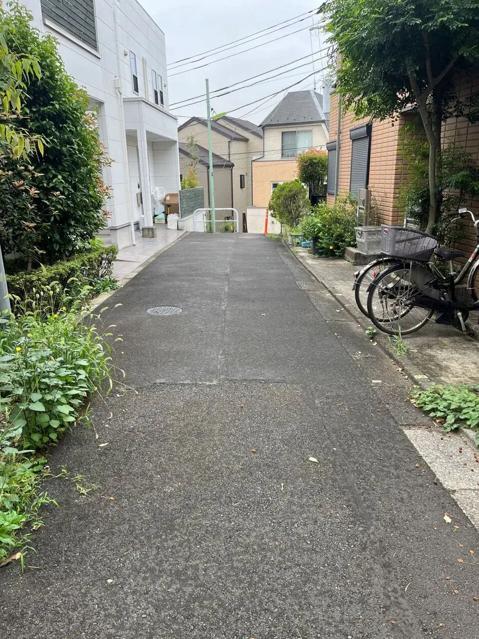 5SLDK Shinagawa-ku Tokyo Property (3)