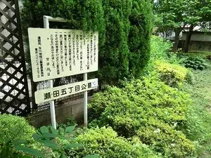 4LDK Setagaya-ku Tokyo (20)