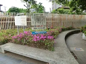 4LDK Setagaya-ku Tokyo (21)