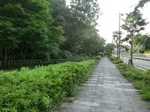 4LDK Setagaya-ku Tokyo (26)
