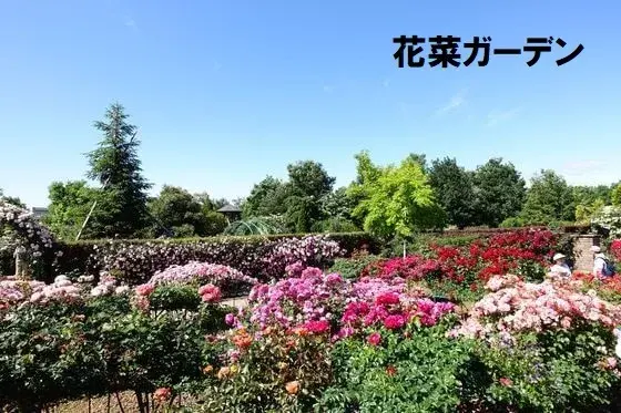 4LDK物件 平塚市 神奈川県 (15)
