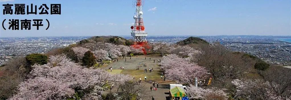 4LDK物件 平塚市 神奈川県 (6)