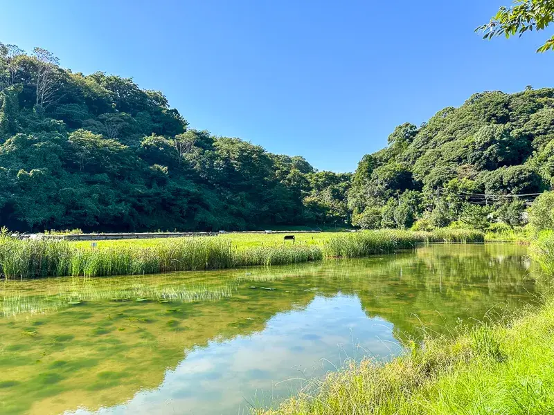 4LDK Propiedad Ciudad de Kamakura Prefectura de Kanagawa (4)