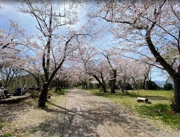 3DK Property Hadano City Kanagawa Prefecture (30)