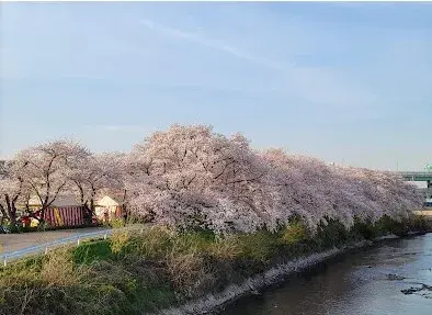 Akiya in 天市