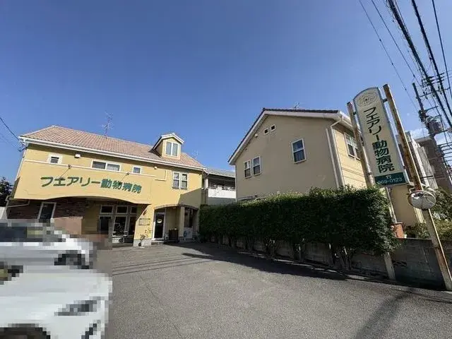 4LDK Property Matsuyama City Ehime Prefecture (11)