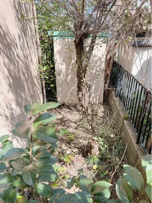 6LDK Property Kashiwa City Chiba Prefecture (19)