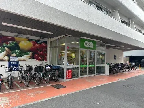4LDK Suginami-ku Tokyo Property (14)