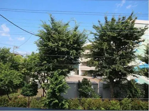 2LDK+S Kodaira City Tokyo (21)