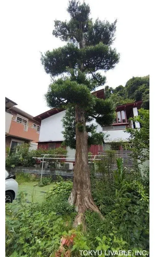 6LDK+S Property Kamakura City Kanagawa Prefecture (6)