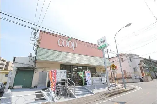 4LDK+S 横浜市 神奈川県 (15)