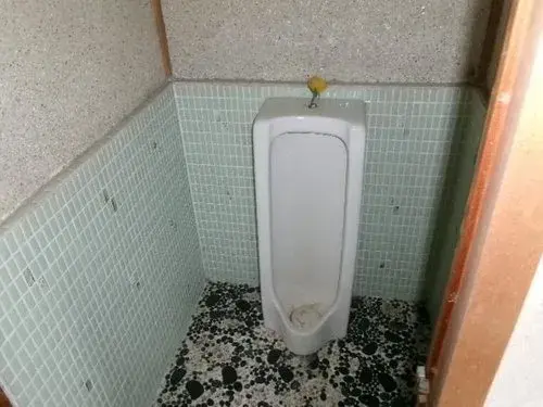 14DK مدينة أزومينو محافظة ناغانو (14)