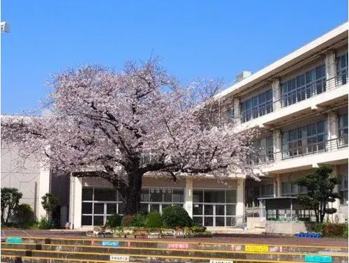 4K物件 長泉町 静岡県 (18)