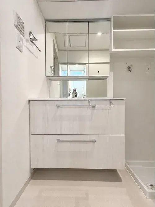 4LDK Property Osaka City Osaka Prefecture (14)