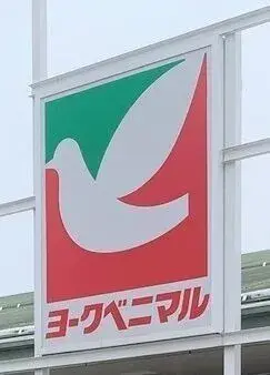 4SLDK property Tendo City Yamagata Prefecture (11)