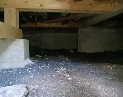 4LDK房源 樱市 栃木县 (14)