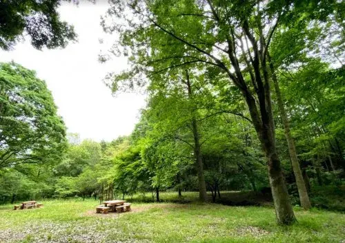 4LDK Property Machida City Tokyo (17)