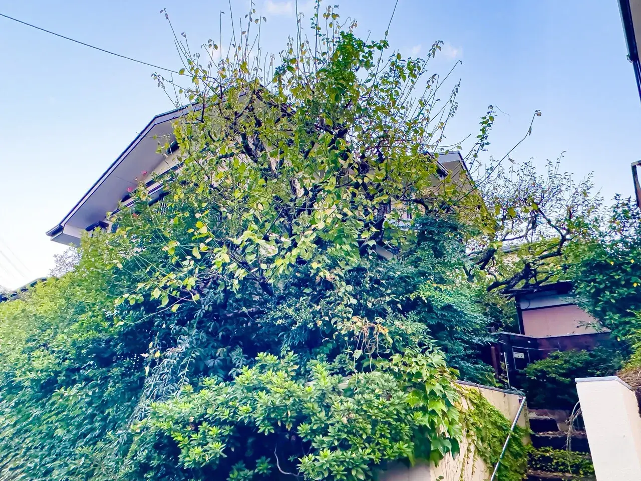 4LDK Hino City Tokyo (15)