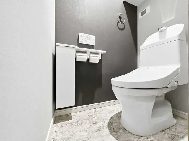 3LDK Property Shinjuku-ku Tokyo (20)