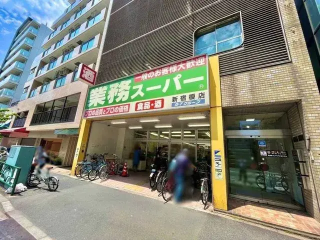 3LDK Property Shinjuku-ku Tokyo (26)
