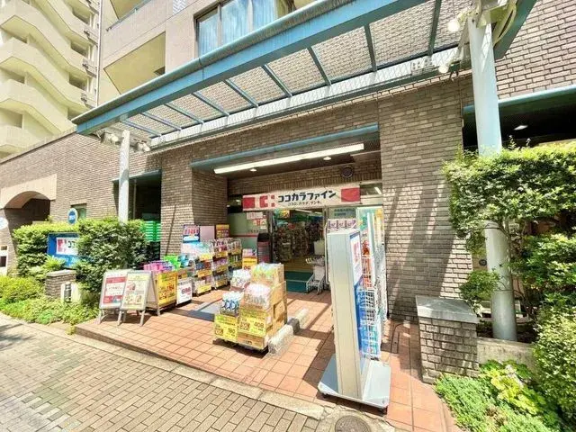 3LDK Property Shinjuku-ku Tokyo (28)