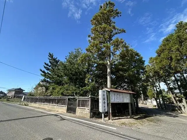 5SDK Niigata City Niigata Prefecture (9)